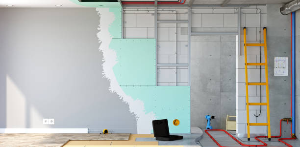 Best Emergency Mold Remediation  in Delhi, LA